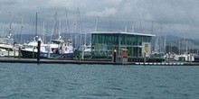 Tauranga Bridge Marina