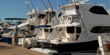 The Reef Marina