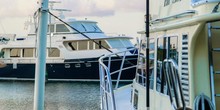 Turtle Cove Marina