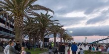 Wyndham Harbour Marina