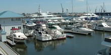 Ocean Yacht Marina