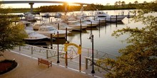 The Wharf Marina