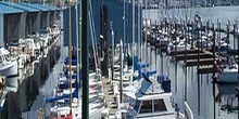 Port Orchard Marina