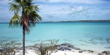 Staniel Cay Yacht Club