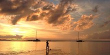 Staniel Cay Yacht Club