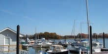 Queen Anne Marina