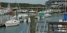 Hilton Head Harbor Marina