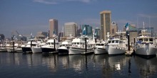 Baltimore Marine Centers at Inner Harbor