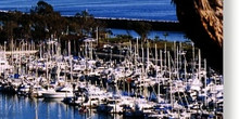 Dana Point Marina