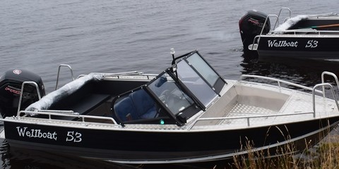 53 Wellboat Fish