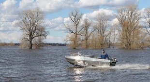 Аква Терра Ерш 3912R