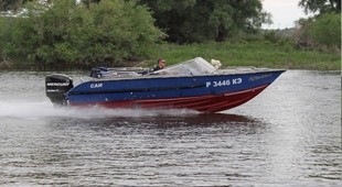 Аква Терра Игуана