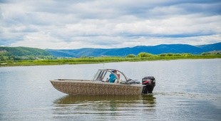 Аква Терра Карп 4.5