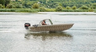 Аква Терра Карп 5.0