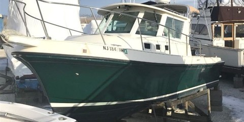 Albin Marine 28 te