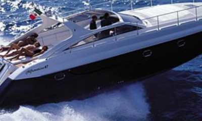 Alfamarine 47