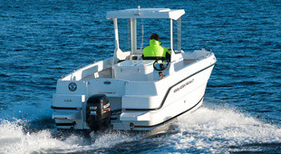 Askeladden P66 Multi