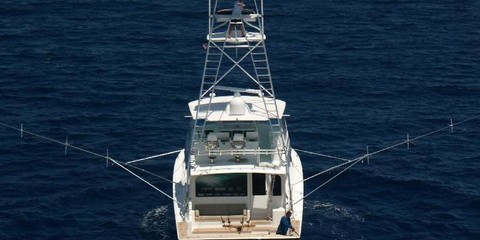 Viking Yachts Barefoot