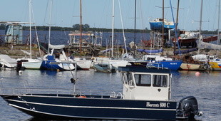 Barents Boats 800 C