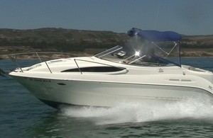 Bayliner 265 SB