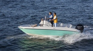 Bayliner Element CC6