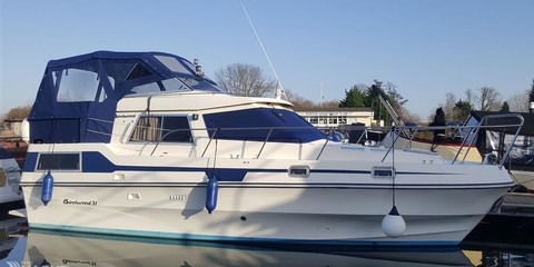 Birchwood 31 commodore