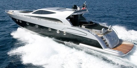 Alfamarine Blue Wings