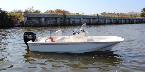 Boston Whaler 150 Montauk 2018
