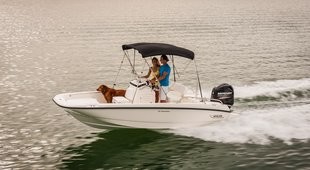 Boston Whaler 170 Dauntless