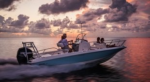 Boston Whaler 210 Dauntless
