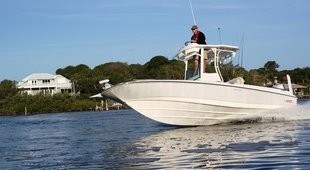 Boston Whaler 240 Dauntless PRO