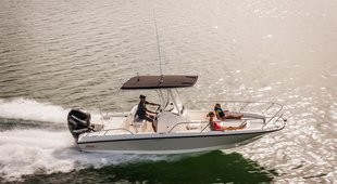 Boston Whaler 240 Dauntless