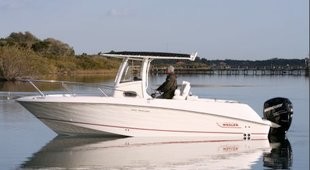 Boston Whaler 250 Outrage