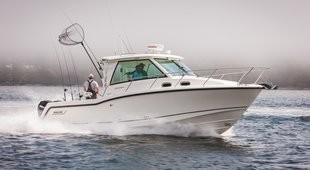Boston Whaler 315 Conquest