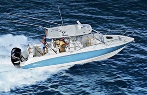 Boston Whaler 320 Outrage Cuddy Cabin