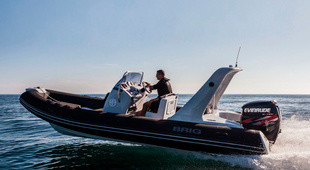 Brig Eagle 650
