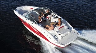 Chaparral 224 Sunesta