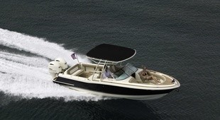 Chris-Craft Calypso 26