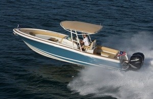 Chris-Craft Catalina 29 Sun Tender