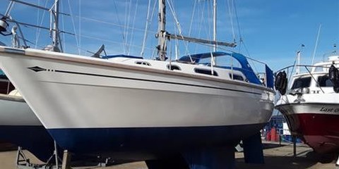 Colvic colvic countess