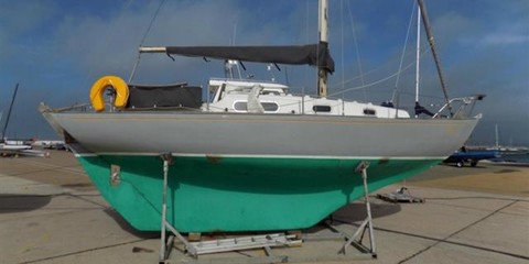 Contessa contessa 26