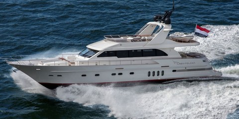 Continental Grey Falcon