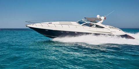 Alfamarine Crazy Dasy