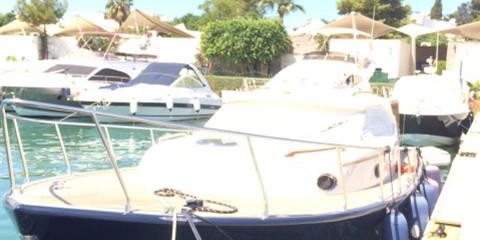 Custom made lobster 12m