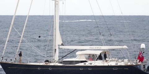 Oyster Dama de Noche