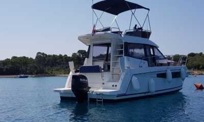 Delphia Platinium 989 Fly