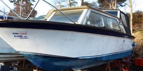 Dolphin cabin cruiser