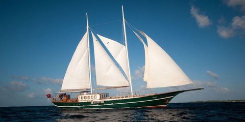 Custom Dream Voyager