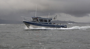 Duckworth 28 Offshore