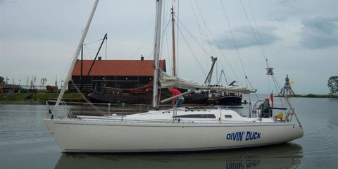 Fabola diva 35